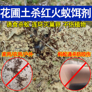 红火蚁药全窝端蚂蚁药强效防虫杀虫药花卉植物小黄蚂蚁杀蚁饵剂ly