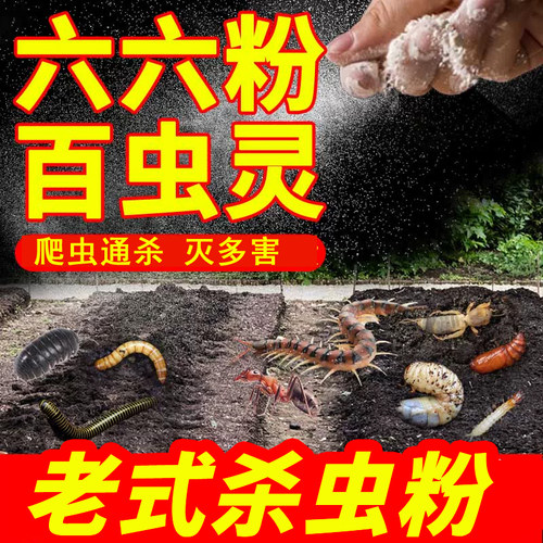 菜地害虫通杀只杀虫不伤菜
