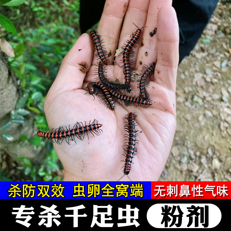 千足虫马陆虫杀虫剂马陆克星