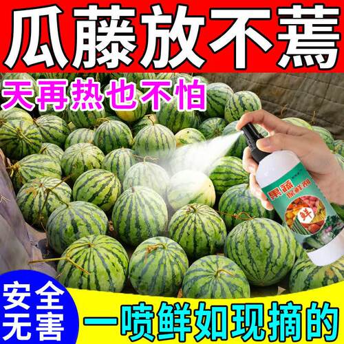 水果蔬菜保鲜剂防腐烂专用冷库果蔬菜抗氧化延长储存食品级药水b