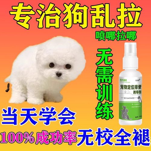 一喷定位狗狗当晚学会上厕所