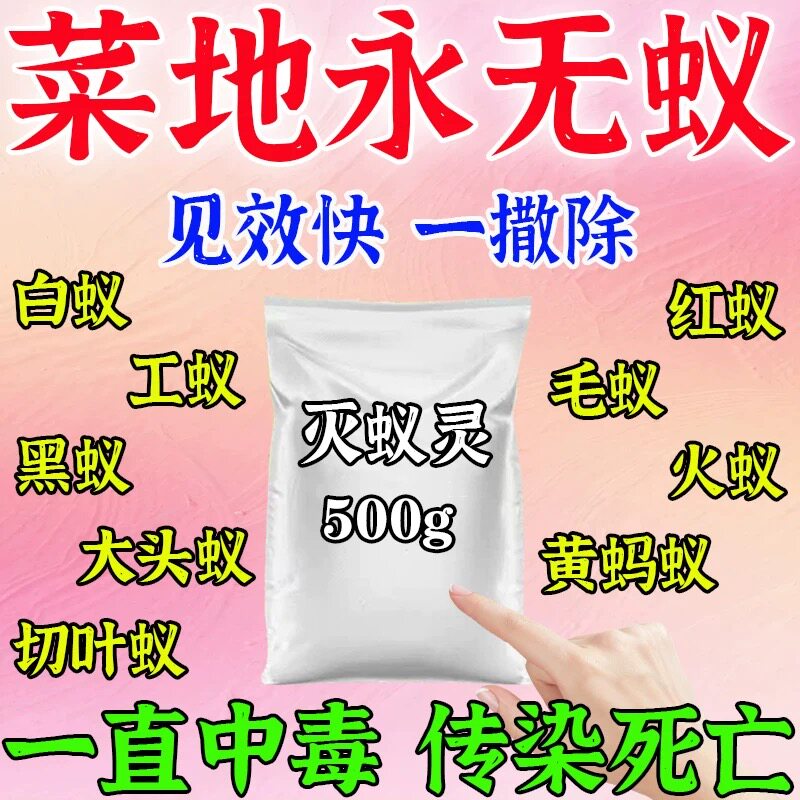 蚂蚁药农用菜地无毒端一窝白蚁防治专用药强效毁巢灵灭蚂蚁药粉剂 - 实物图