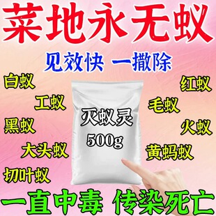 蚂蚁药农用菜地无毒端一窝白蚁防治专用药强效毁巢灵灭蚂蚁药粉剂