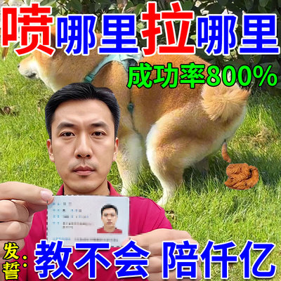 狗狗定点排便神器宠物不乱拉屎上厕所诱导剂引大小便尿垫定点训练