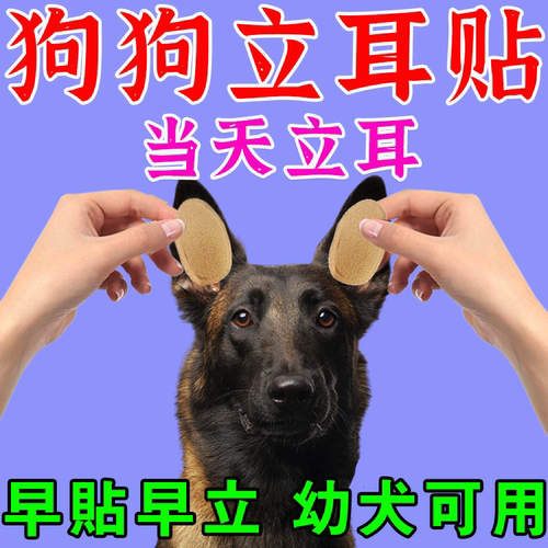 狗狗立耳神器钙片立耳贴小狗雪纳瑞杜宾犬边牧柯基德牧立耳辅助G