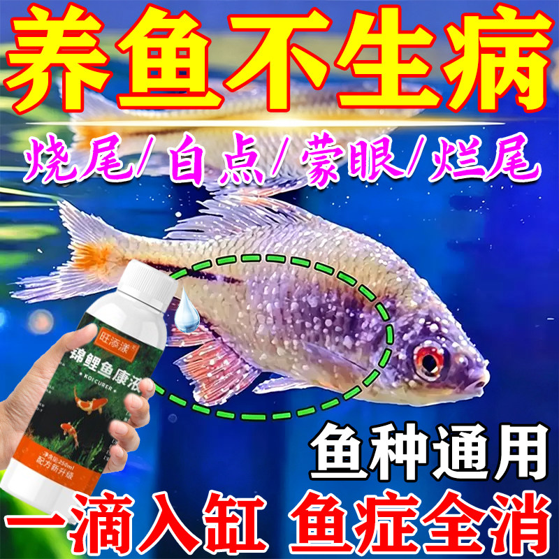 鱼长白点净鱼药烂身烂尾炸鳞充血腹水肠炎水霉病锦鲤金鱼病专用剂