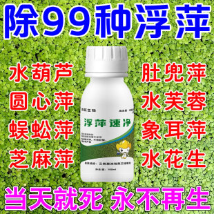 浮萍清除剂鱼塘水草浮萍净一扫光池塘黑绿藻青苔清理神器免打捞b