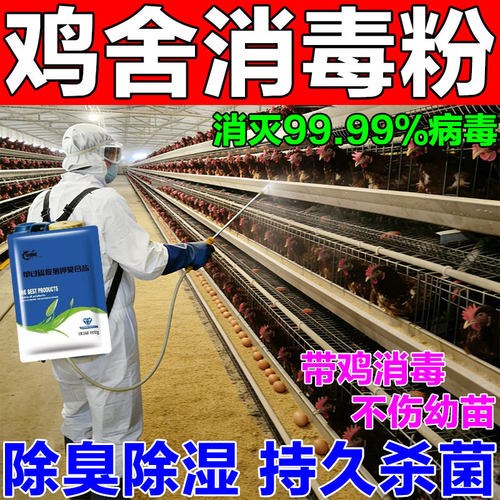 鸡圈消毒液养殖场专用鸡鸭鹅鸟通用过硫酸氢钾消毒剂杀菌不伤禽b