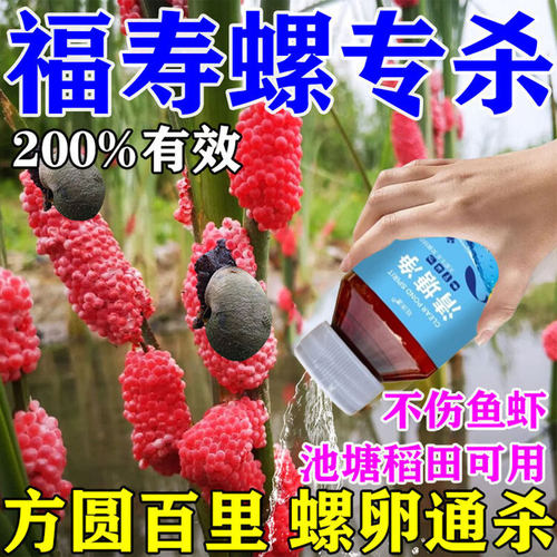 福寿螺专杀专用药水稻田鱼塘河道灭除螺药蜗牛鼻涕虫不伤鱼虾