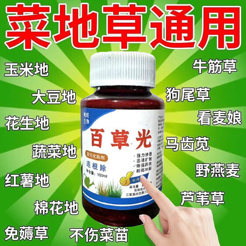 菜地苗后除杂i草专用玉米地苗后除烂草红薯芝麻不伤苗速效灭芦苇b