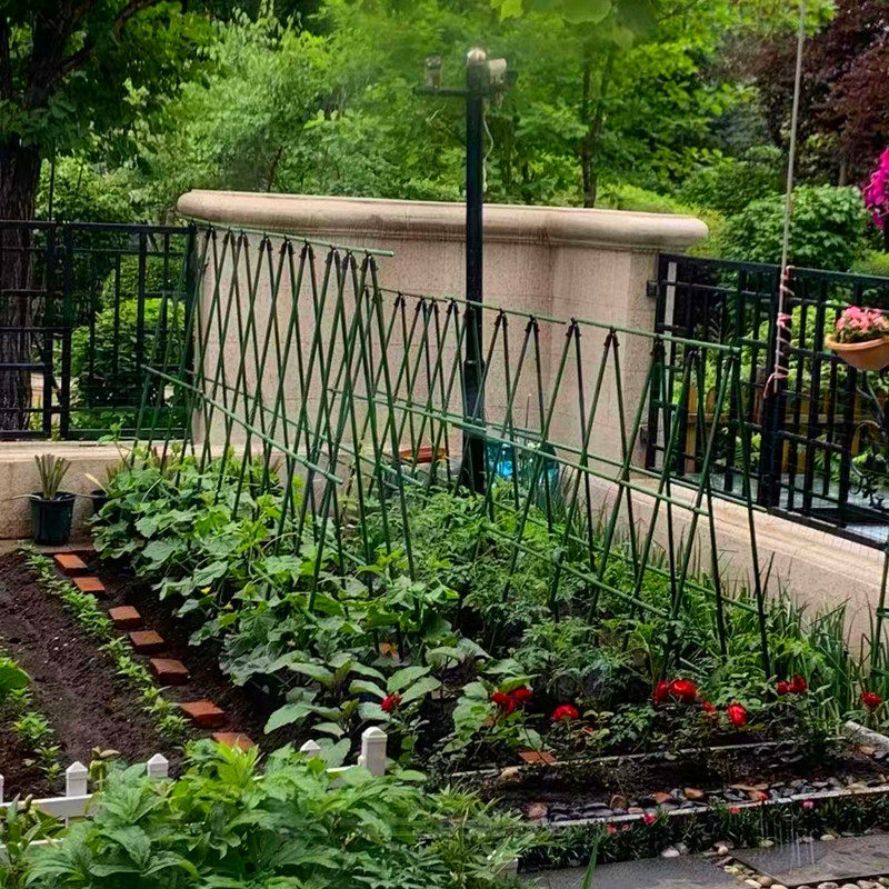 黄瓜架豆角爬藤架丝瓜架子蔬菜架杆菜地种菜植物支撑杆菜园艺支架