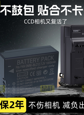 适用于松下DMW-BLC12E电池DMC-G95D G95 G97 G8 G7 G6 G5 G80 G85 G80H G81 G85 G90 G91 GX8 GK 相机充电器