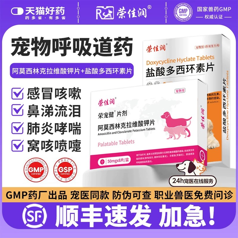 狗狗猫咪感冒咳嗽流鼻涕消炎药图片