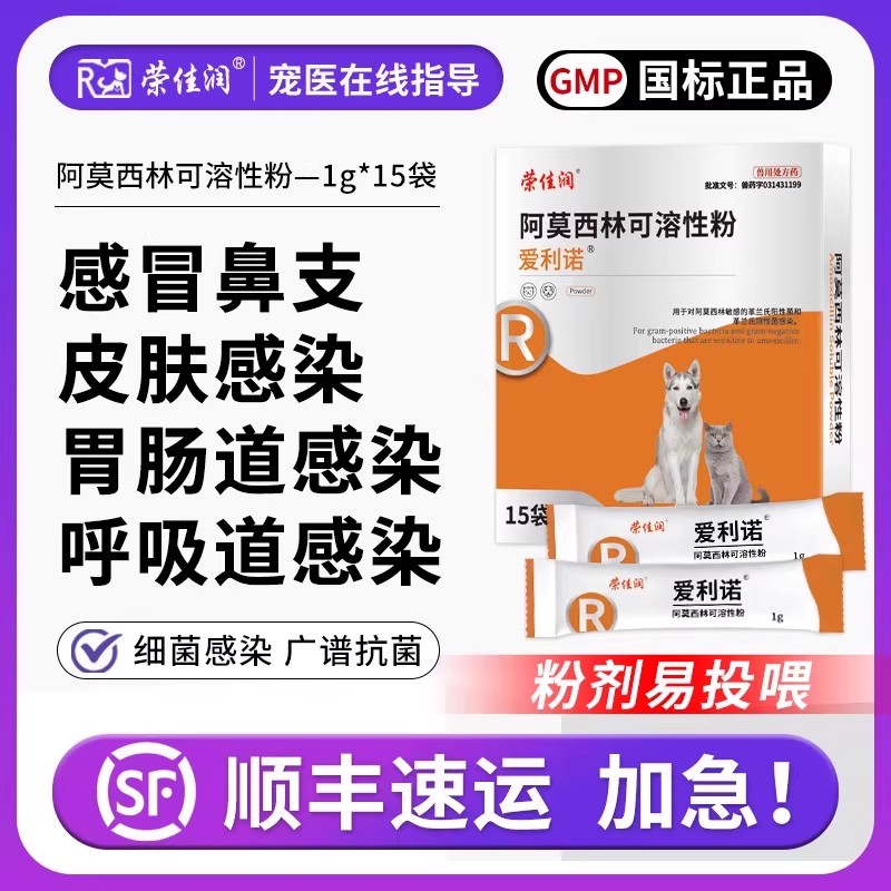 阿莫药犬猫感冒咳嗽猫鼻支消炎
