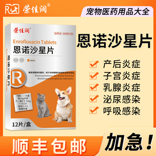 荣佳润宠物利尿通狗狗产后消炎药猫咪用尿道炎尿路感染恩诺沙星片