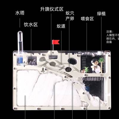 2021蚂蚁城堡 生态箱蚁村宠物蚂蚁工坊部落家园王国宫殿别墅沙巢