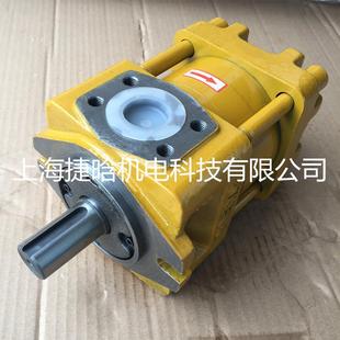 GEAR 内啮合齿轮泵 INTERNAL 液压油泵 PUMP D10F NT2 低噪音