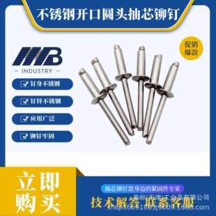 304全不锈钢开口圆头抽芯拉铆钉GB12618.4拉卯钉合页抽芯铆钉