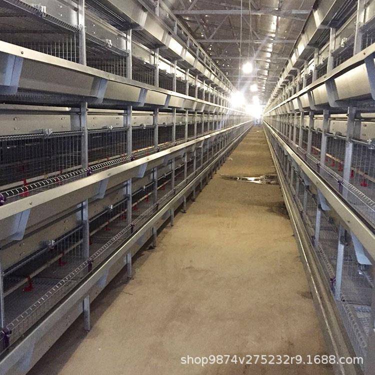 养鸡设备就选荥阳红伟技术成熟支持按需欢迎广大客商参观考察