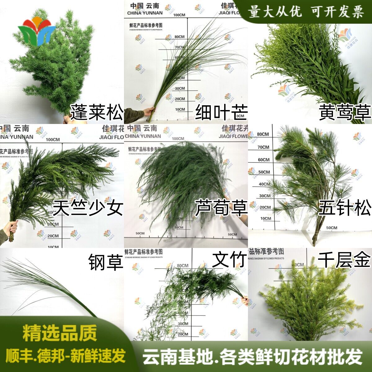芦荀草婚庆活动布置鲜花宝宝生日宴diy鲜切叶材绿植文竹蓬莱松