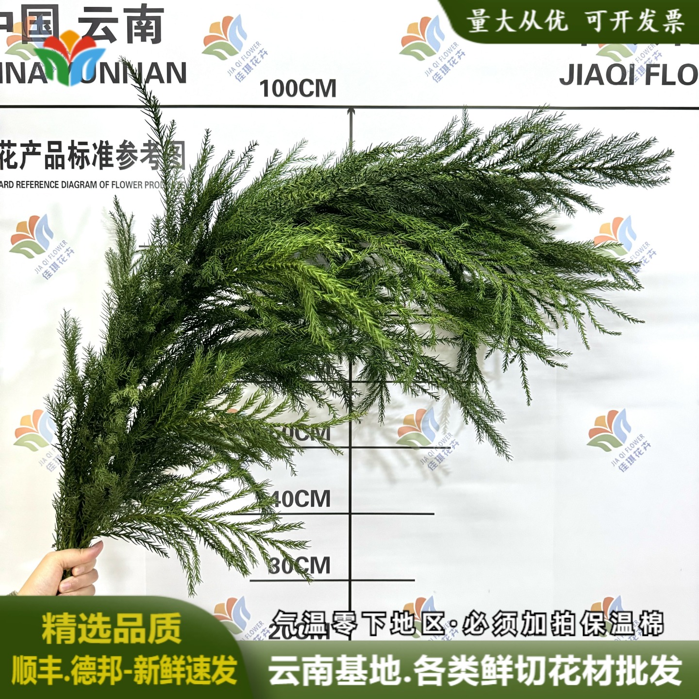 天竺少女松枝婚庆布置圣诞节鲜花