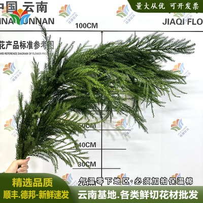 天竺少女松枝婚庆布置圣诞节鲜花