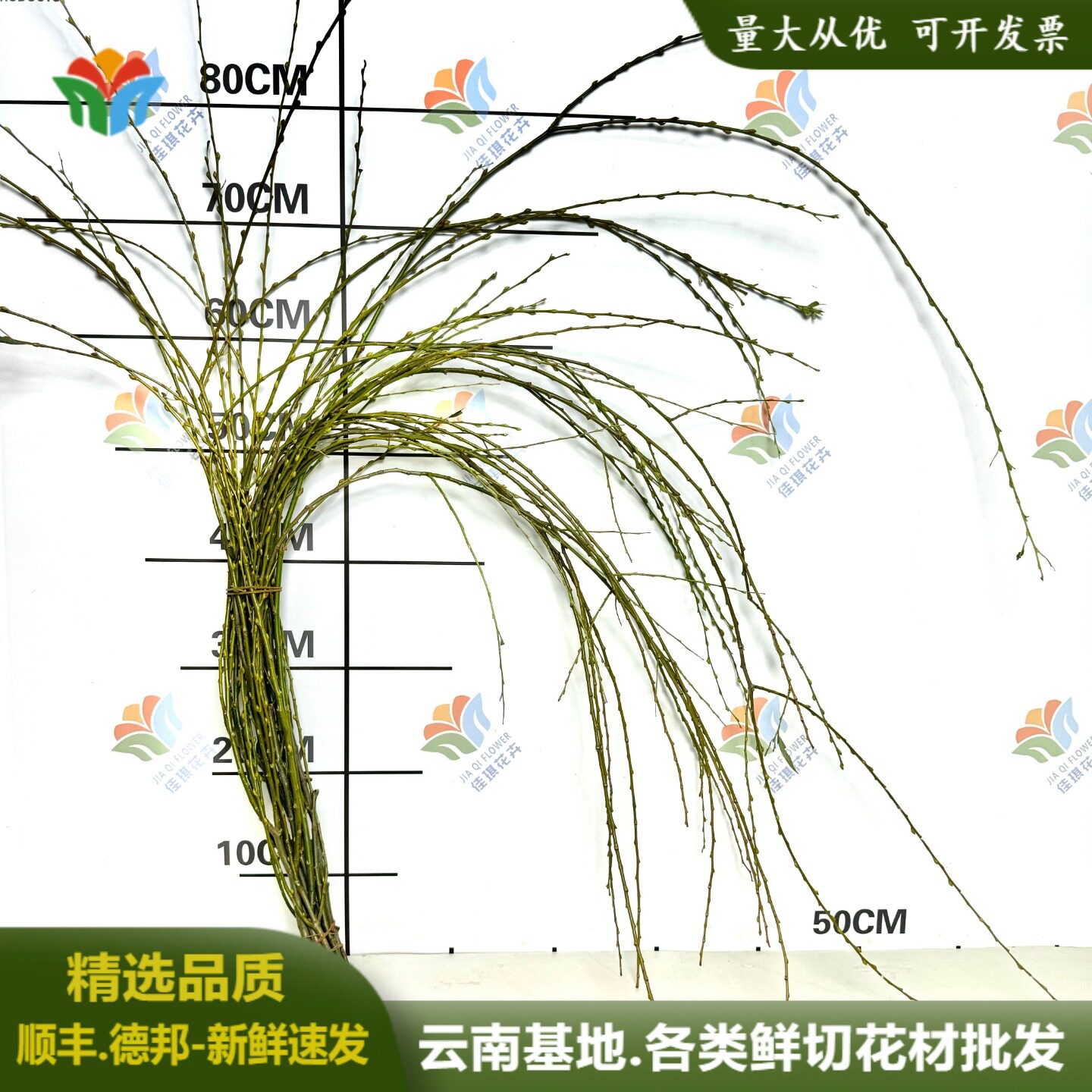 垂柳鲜切枝条婚礼花艺柳枝造型布置垂吊感鲜花婚庆花材云南直发