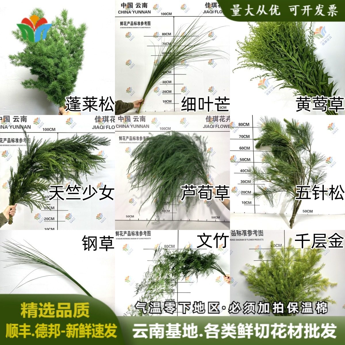 芦荀草婚庆活动布置鲜花