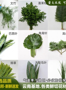 云南各类鲜切叶材直批婚庆活动布置新鲜叶材花束搭配羊齿叶蓬莱松