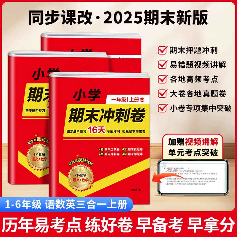 2025小学期末冲刺卷上册