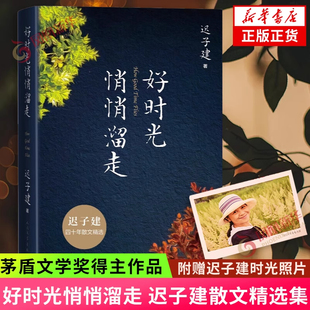 好时光悄悄溜走 赠迟子建时光照片 迟子建散文精选 额尔古纳河右岸作者 书籍 茅盾文学奖得主作品 现当代文学随笔集 正版