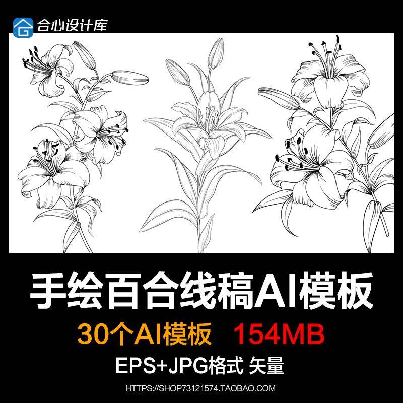 手绘花卉插图百合黑白线稿参考矢量EPS绘画设计素材