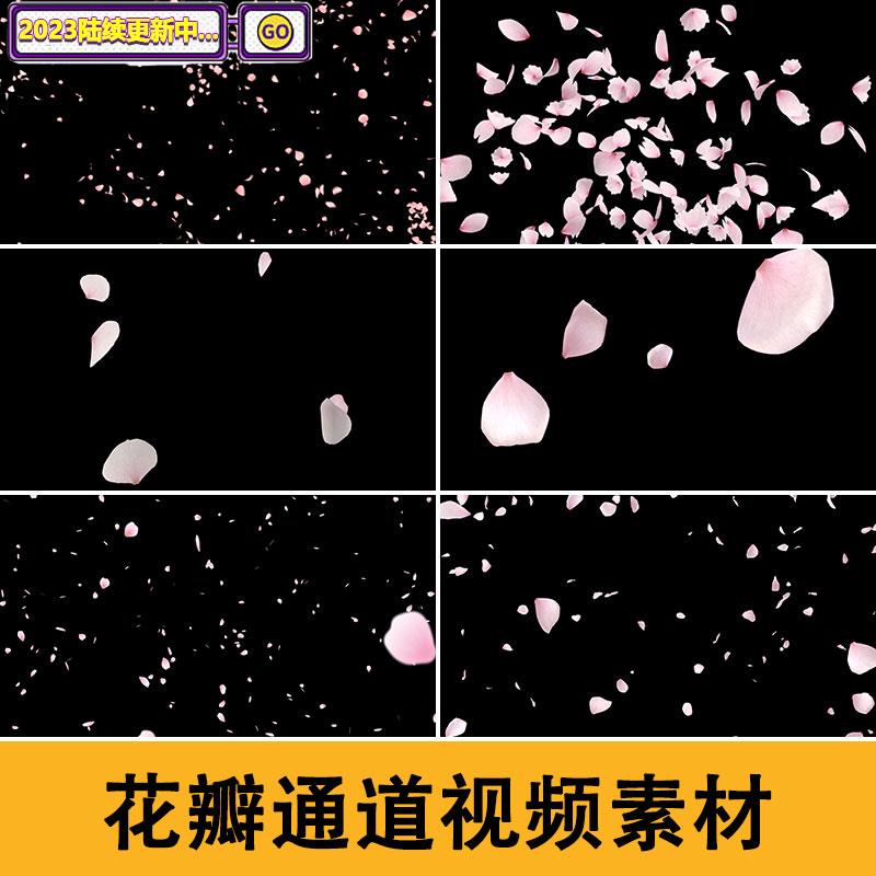 桃花花瓣飞舞飘落特效动画花朵散开pr合成动态ae视频素材d214