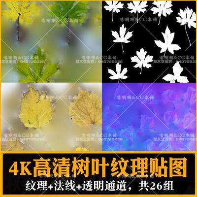 4K高精度树叶纹理贴图法线PBR次时代 扫描写实自然植物黄绿枫叶草