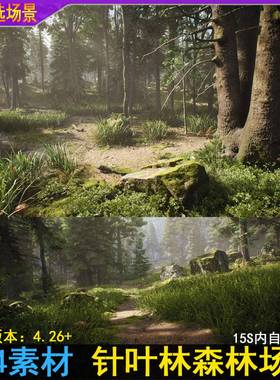 UE4虚幻UE5写实溪流小路针叶林树木森林青苔岩石环境场景素材