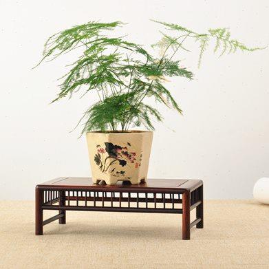 红木红酸枝花瓶玉器奇石摆件盆景古董底座明式长方台微型小花架