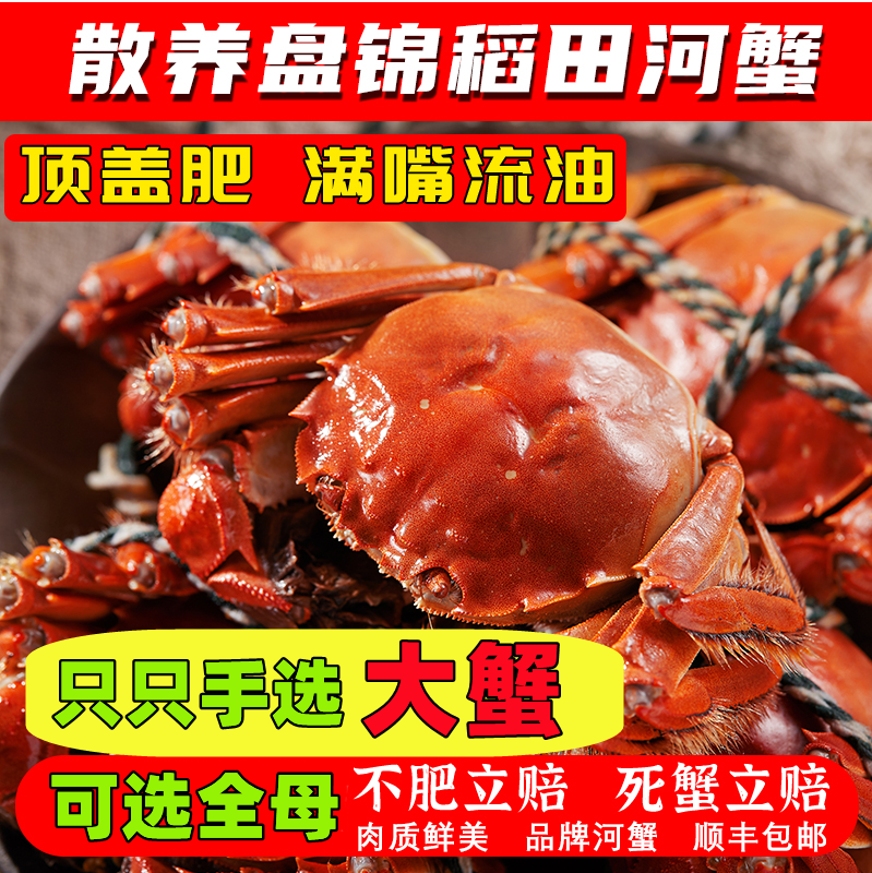盘锦河蟹鲜活特大稻田蟹10只公2.5-2.7母2-2.2大闸螃礼盒顺丰包邮