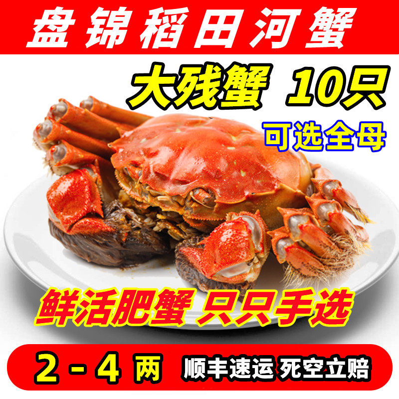 盘锦河蟹2-3两母满黄鲜活稻田蟹