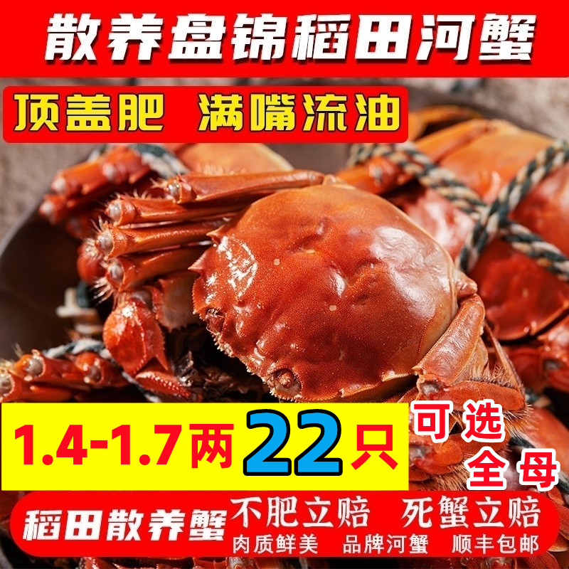 盘锦河蟹稻田蟹鲜活螃蟹公母包邮