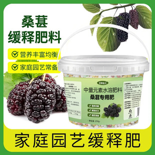桑葚专用肥肥料生根粉桑葚树专用肥料营养液催花结果坐果灵园艺肥