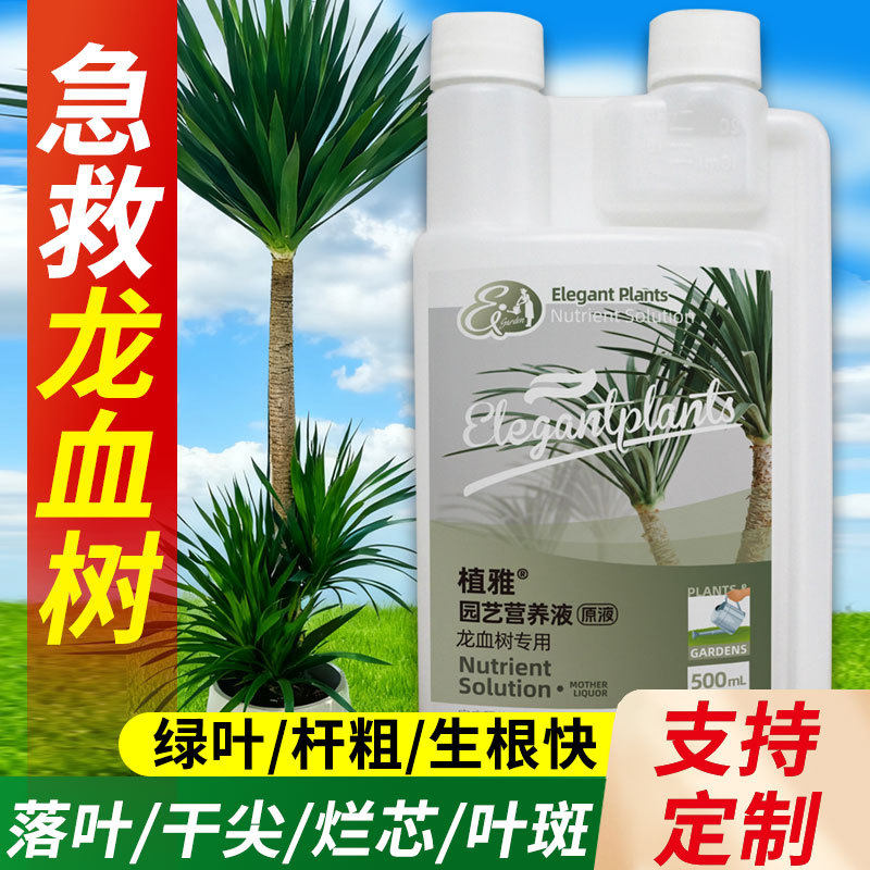 定制龙血树专用营养液植物促生剂再生黄叶烂根盆栽绿植复合肥料