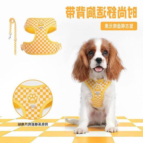 狗狗牵引绳背心式小狗胸背带遛狗