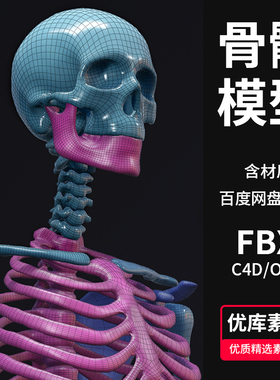 3D人体骨骼模型骷髅骨头骨架C4D/MAX/MAYA/Blender/FBX/OBJ素材