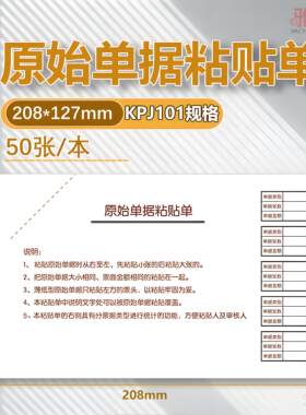 KPJ101规格费用报销费单据同款支出凭单手写粘贴单借款单208*127