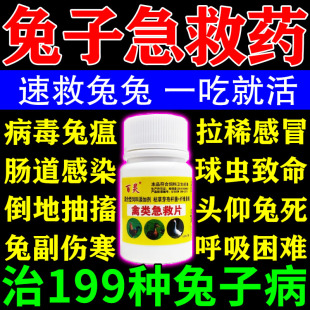 兔子拉稀专用药宠物驱虫常用药体内外球虫腹泻歪头病兔瘟预防常备