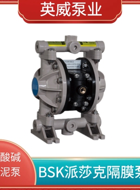 美国派莎克/-P991PP包邮BP06PPPTT4材质-分塑料B气动隔膜泵2全新