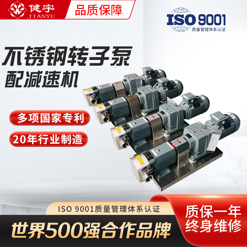 输送凸轮带邮转子泵化工泵耐包齿轮全新输送泵减速机不锈钢高粘度