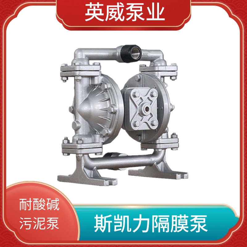 新款skylink气动隔膜泵LS