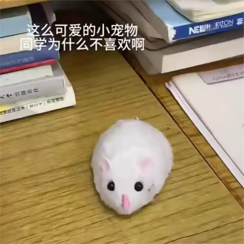 遥控老鼠玩具逗猫神器真动物搞笑