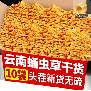 精选云南虫草花干货特级当季 蛹虫草特级孢子头菌菇煲汤旗舰店